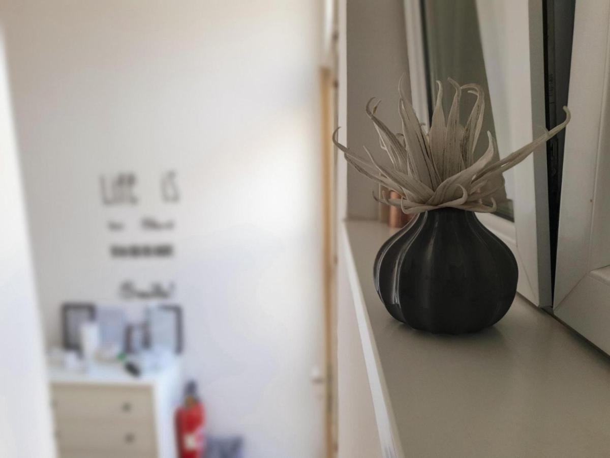 אוסילק Apartment Laura & Lucija מראה חיצוני תמונה